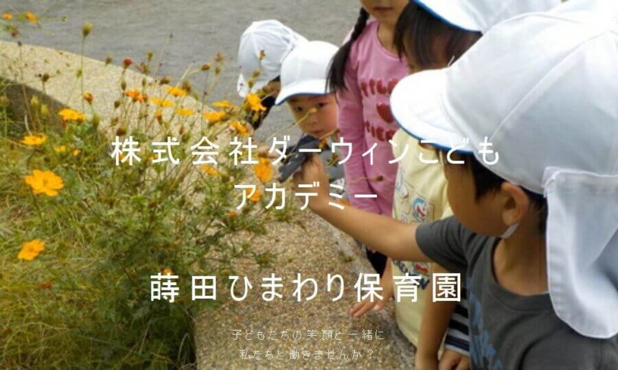蒔田ひまわり保育園