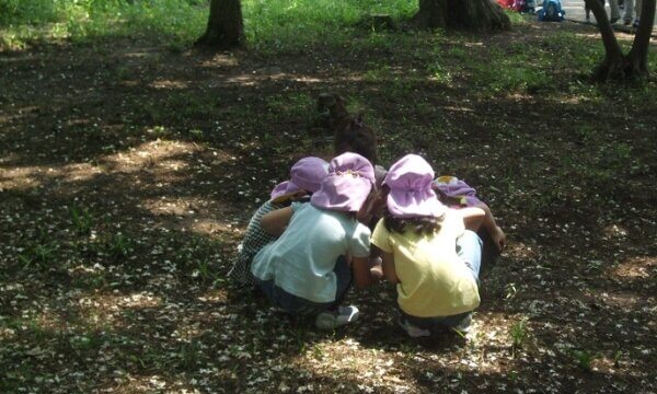 芙蓉保育園の求人